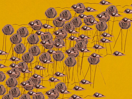 I'm Not Feeling Very Well