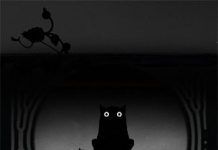 2019: Pitch Black Panacea