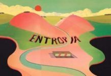 2019: Entropia
