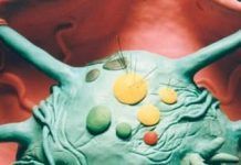 1994: Gastropotens II: Mutación tóxica