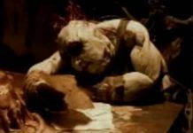 2000: El Octavo Día, la creación