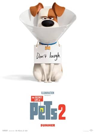 Mascotas 2 (The Secret Life of Pets 2)