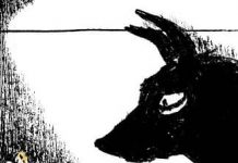 2022: Your Bad Animals