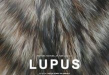 Un corto esencial: por Carlos Velandia