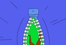 2019: Drink Right, F *** Right